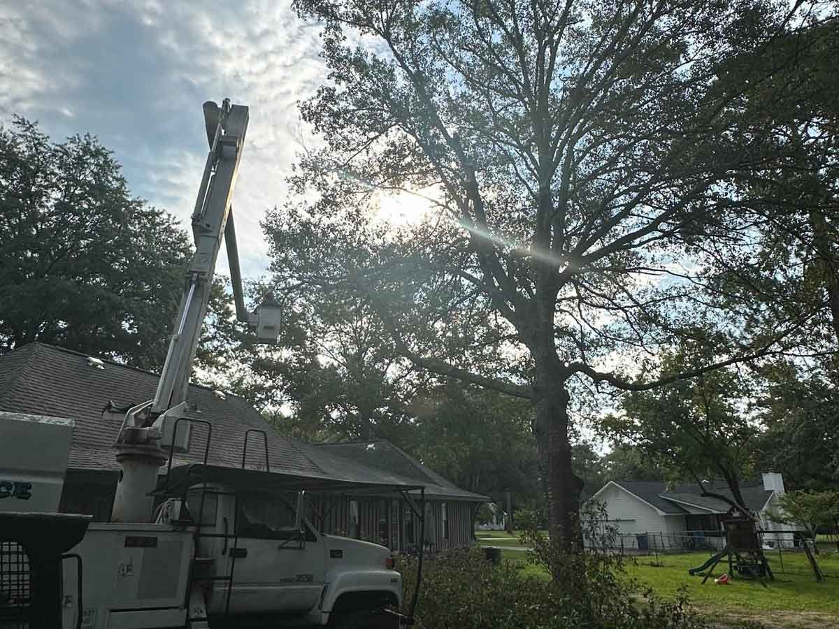El Costeño Tree Service LLC